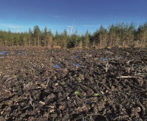 OnPath promise to the environment